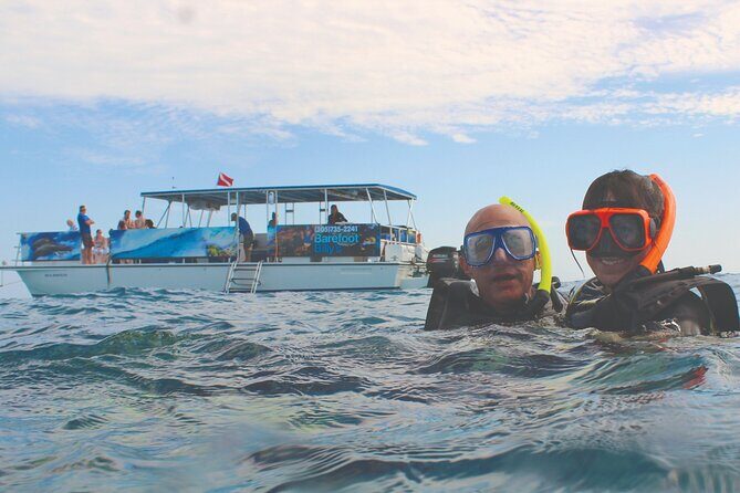 Dolphin Watching and Snorkeling Adventure in Key West - Authentic Insights from Reviewers