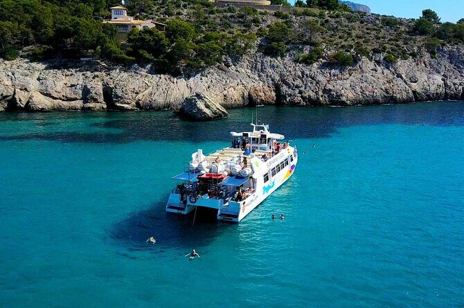 Dolphin Watching in Majorca - Why We Think Youll Love This Experience