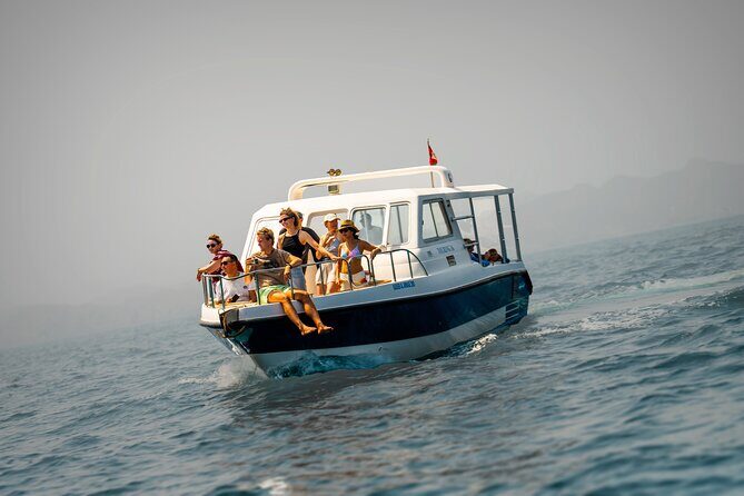 Dolphin Watching in Muscat - What Travelers Have to Say