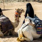 Double Buggy with Dinner, Camel Ride & Stargazing Sharm AlSheikh - The Itinerary in Detail: What You Can Expect