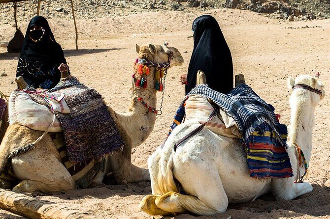 Double Buggy with Dinner, Camel Ride & Stargazing Sharm AlSheikh - The Itinerary in Detail: What You Can Expect