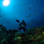 Double dive in Santa Maria Island - Azores - Why We Love This Experience