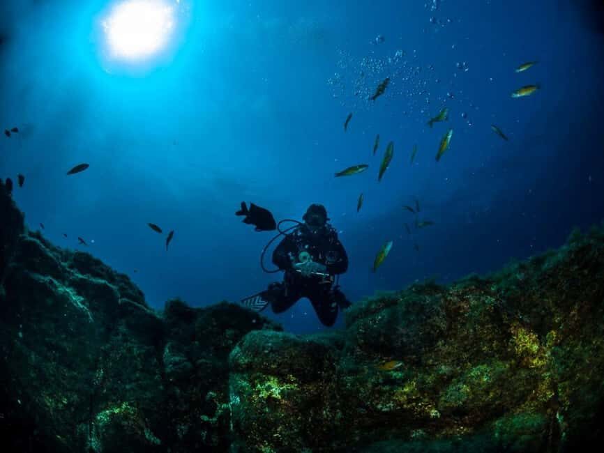 Double dive in Santa Maria Island - Azores - Why We Love This Experience
