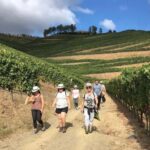 Douro from Porto: adventure ride with walk and local lunch - The Value of This Tour