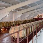 Douro: Martha's Cellar - Visit and Tawny Tasting - What To Expect from Your Martha’s Cellar Visit