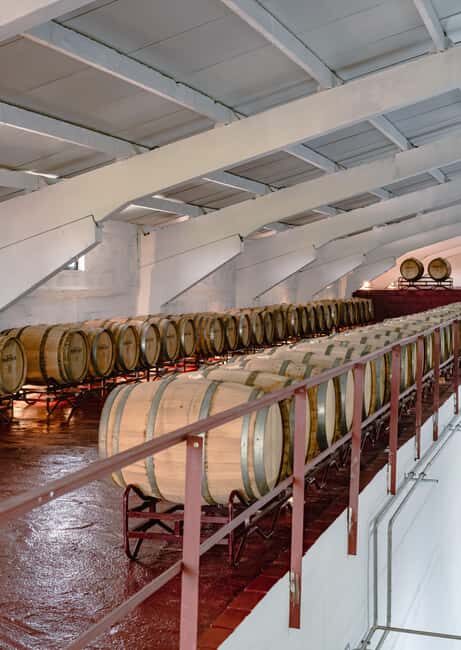 Douro: Martha's Cellar - Visit and Tawny Tasting - What To Expect from Your Martha’s Cellar Visit