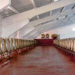 Douro: Martha's Harvest - DOC Wine Tour and Tasting - Who Will Enjoy This Tour?