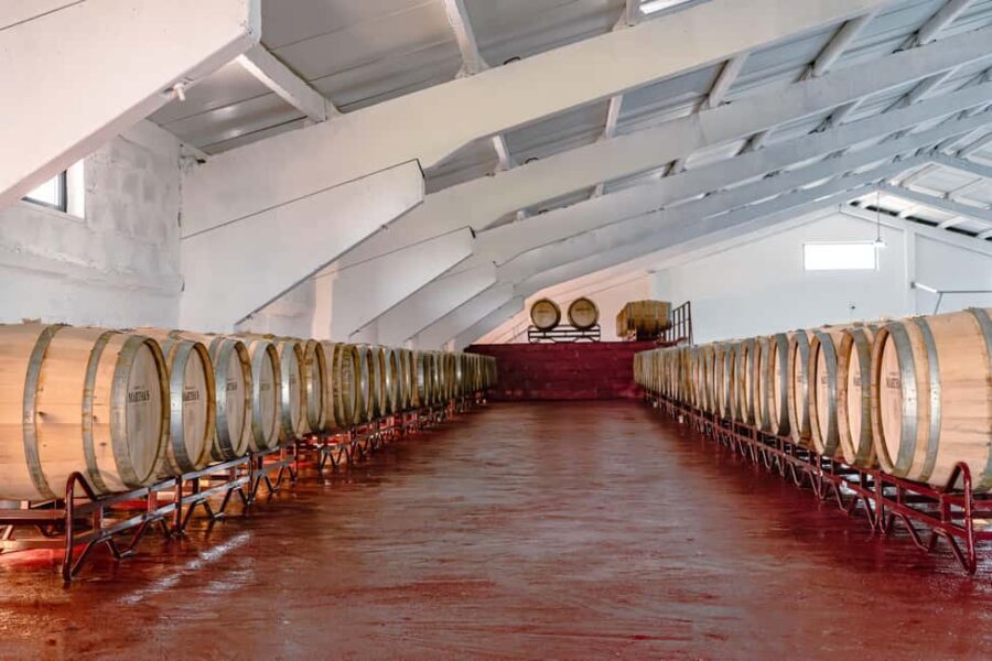 Douro: Martha's Harvest - DOC Wine Tour and Tasting - Who Will Enjoy This Tour?
