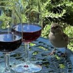 Douro Tour: Wine Tastings, Boat Ride & Manor House Lunch - The Practical Details