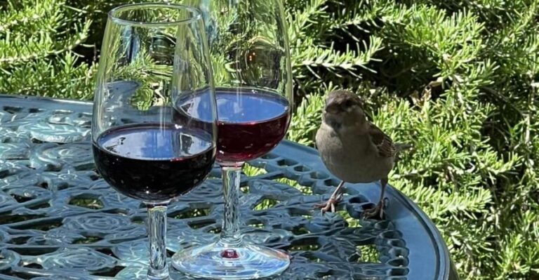 Douro Tour: Wine Tastings, Boat Ride & Manor House Lunch - The Practical Details