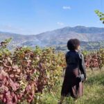 Douro Valley: 2 Vineyard Visits with Lunch and River Cruise - Final Thoughts: Is This Tour Worth It?