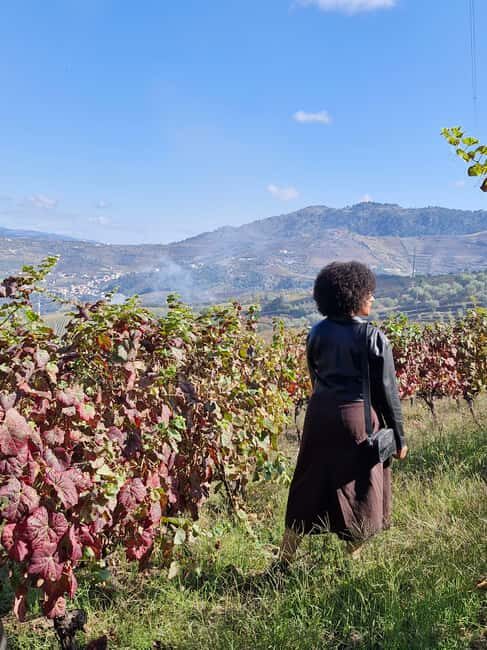 Douro Valley: 2 Vineyard Visits with Lunch and River Cruise - Final Thoughts: Is This Tour Worth It?