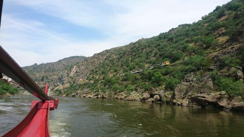 Douro Valley: 2 Wineries, Lunch & Boat - A Closer Look at the Itinerary and Experience