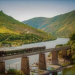 Douro Valley: Cruise & vineyard discovery from Porto or Aveiro - The Sum Up