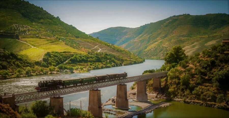 Douro Valley: Cruise & vineyard discovery from Porto or Aveiro - The Sum Up