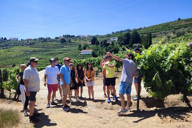 Douro Valley for Wine Lovers with Visit to 3 Vineyards and Lunch at a Winery - Who is This Tour Best For?