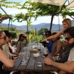 Douro Valley: Half-Day, 1 winery & 1-h cruise with cocktail - Analyzing the Value