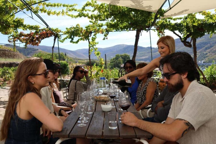 Douro Valley: Half-Day, 1 winery & 1-h cruise with cocktail - Analyzing the Value