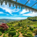 Douro Valley: Private Lunch with Wine & Olive Oil Tasting - Practicalities and Considerations