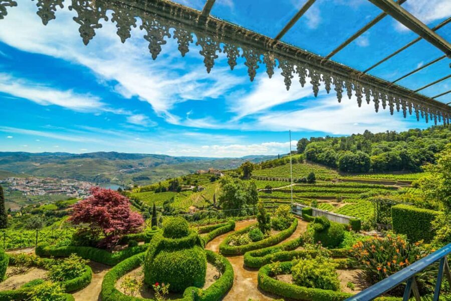 Douro Valley: Private Lunch with Wine & Olive Oil Tasting - Practicalities and Considerations