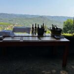 Douro Valley: Private Tour & Guided Wine & Olive Oil Tasting - A Closer Look at the Tour Experience
