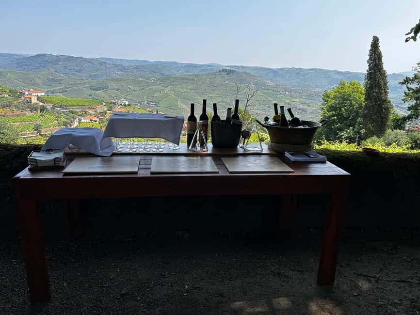 Douro Valley: Private Tour & Guided Wine & Olive Oil Tasting - A Closer Look at the Tour Experience