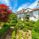 Douro Valley: Quinta Santa Júlia Tour, Wine Tasting & Lunch - What’s Included and What to Consider