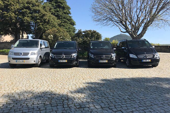 Douro Valley Tour from Peso da Regua - Why This Tour Excels