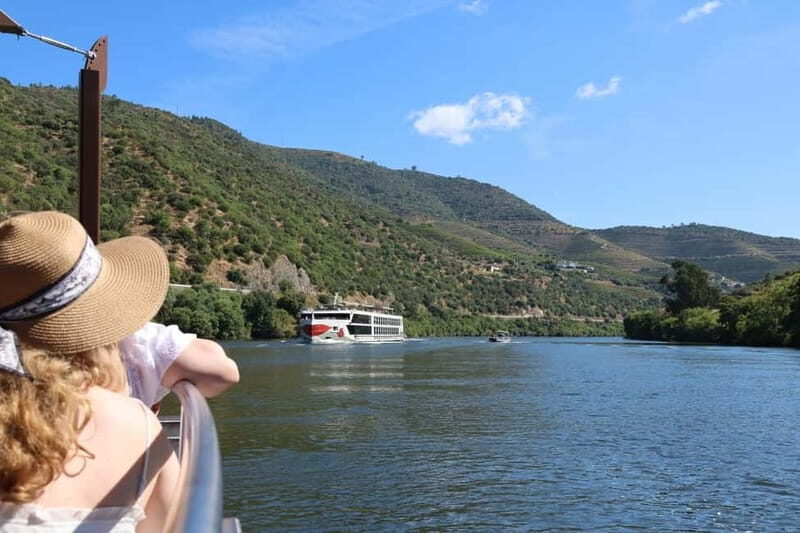 Douro Valley: Visit 2 Wineries with lunch, and 1-Hour Cruise - What Makes This Tour Stand Out?