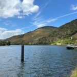 Douro Valley Wine Tour: Boat Ride, 3 Tastings & Delicious Food - Small Group - Why This Tour Stands Out