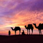 Douz Overnight Camp Stay in Sahara Desert with Dinner By Camel - Sunrise and the Return Trek