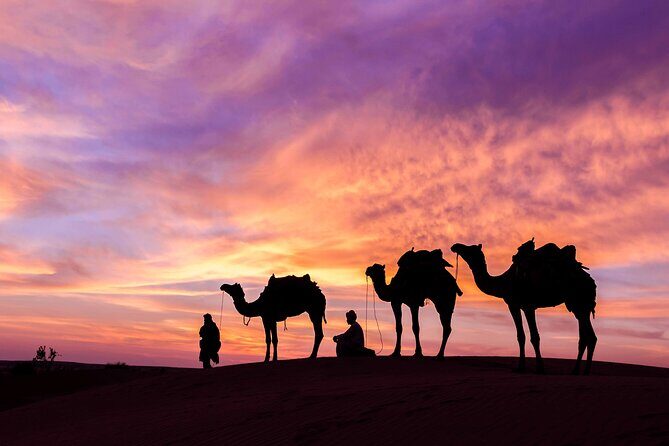 Douz Overnight Camp Stay in Sahara Desert with Dinner By Camel - Sunrise and the Return Trek