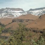 Drakensberg Giant's Castle Cave Art & Mandela Capture Site Tour from Durban - Practical Details and What You Can Expect