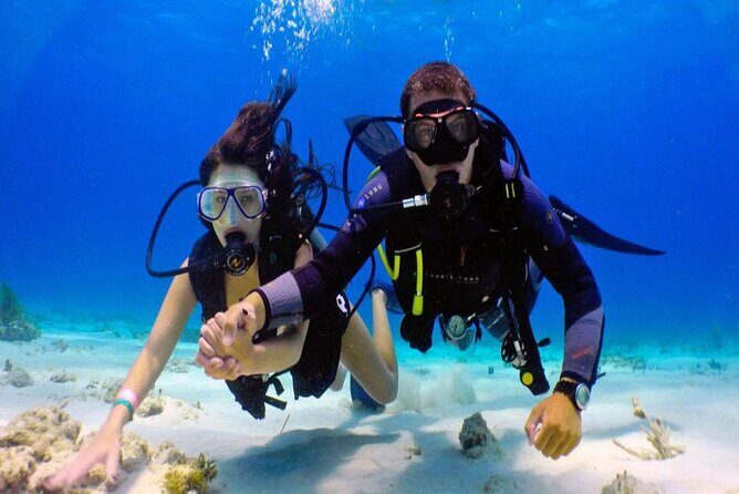 Dream to Dive full Course & private Dive Instructor PADI - Transport and Logistics: Seamless and Comfortable