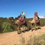 Dromedary Safari: 2 hours - Final Thoughts