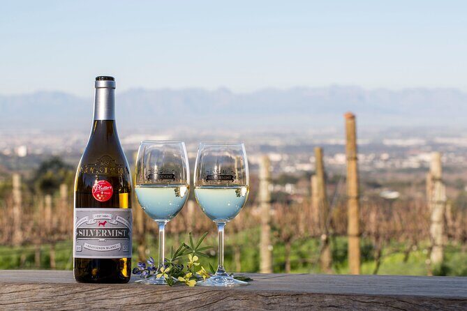 Drumstruck at Silvermist. Live African Drum Show & Wine tasting - Final Thoughts: Is It Worth It?