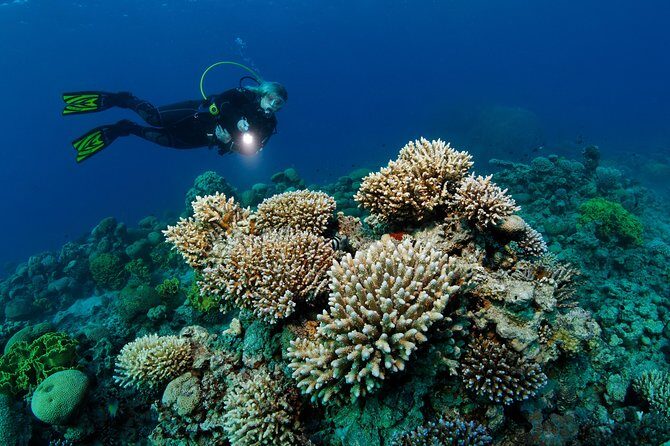 DSD "Discover Scuba Diving" (Min Age 10 Years) - Practical Details and Logistics