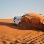 Dubai: Adventure Evening Desert Safari, Camel Ride, Shows & BBQ Dinner - Dining and Entertainment: The Heart of the Night