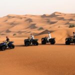 Dubai: Adventure Quad Bike Safari, Camel Ride & Refreshments - Potential Drawbacks or Considerations