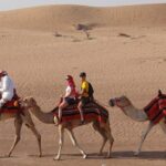 Dubai: Adventure Quad Bike Safari, Sandboarding, Camel Ride & BBQ - Why This Tour Offers Great Value