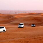 Dubai afternoon Desert Safari - Authentic Experiences and Practical Insights