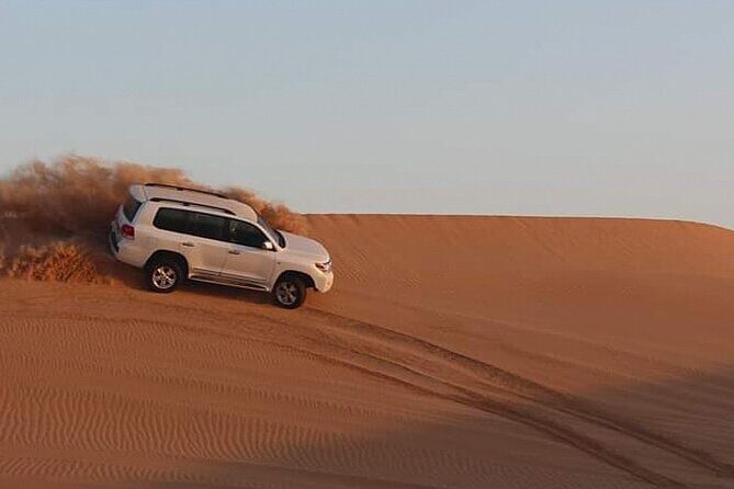 Dubai Afternoon Desert Safari and BBQ Dinner - The Final Touches: Entertainment and Photo Opportunities