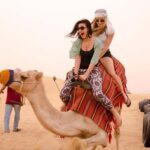 Dubai afternoon Desert Safari Private - Breaking Down the Itinerary