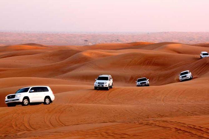 Dubai afternoon Desert Safari - Authentic Experiences and Practical Insights