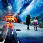Dubai Aquarium and Underwater Zoo - The Real Review: Experiences from Visitors
