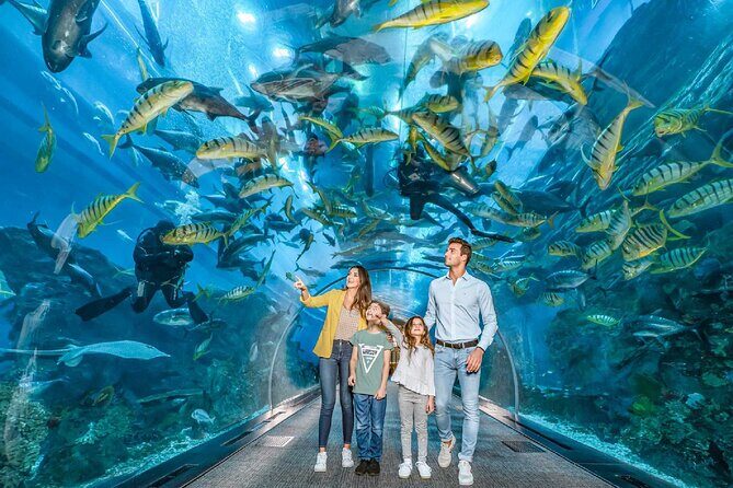 Dubai Aquarium and Underwater Zoo - The Sum Up: Is It Worth It?