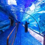 Dubai Aquarium and Underwater Zoo Admission Ticket with Options - What’s Included and What’s Not?
