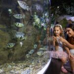 Dubai Aquarium and Underwater Zoo Entrance Ticket - Practical Details and Tips