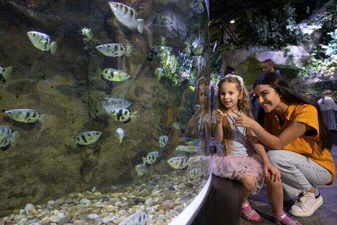 Dubai Aquarium and Underwater Zoo Entrance Ticket - Practical Details and Tips