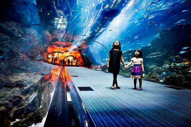 Dubai Aquarium and Underwater Zoo - The Real Review: Experiences from Visitors